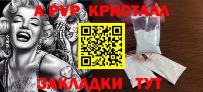 тгк Бийск