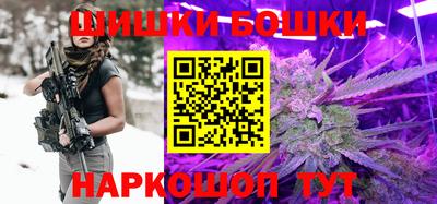 тгк Бийск