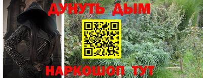 тгк Бийск
