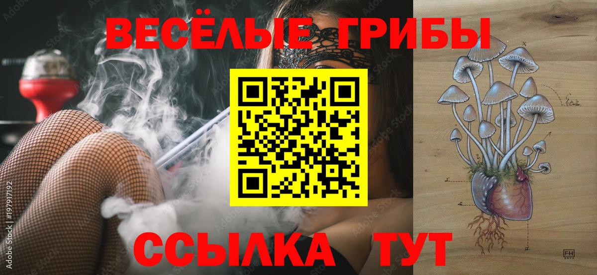 Галлюциногенные грибы Psilocybine cubensis  Вход с VPN  где найти   Волжск  Галлюциногенные грибы прущие грибы 